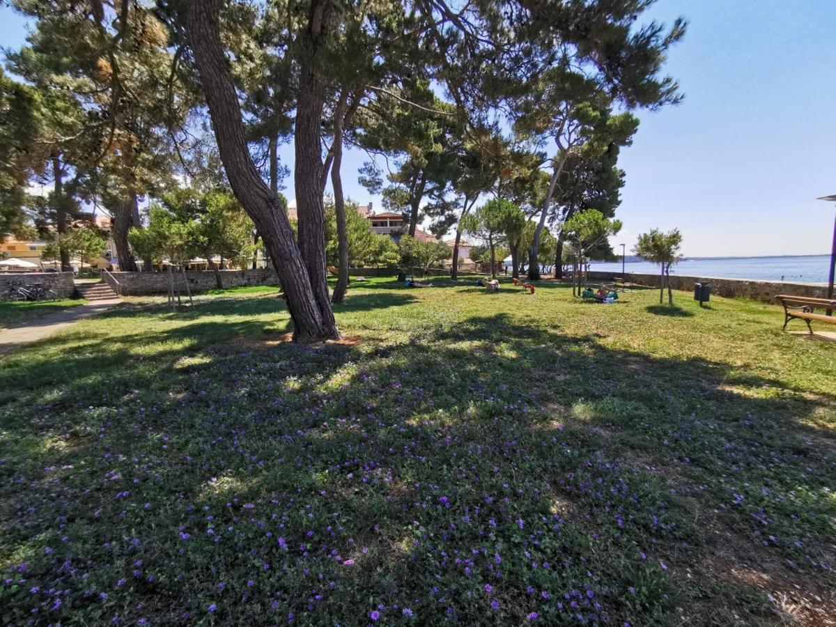 Stella Deluxe Superior 5 Star Apartment, Your Piece Of Heaven By The Sea & Park, With Sea View Novigrad  Zewnętrze zdjęcie