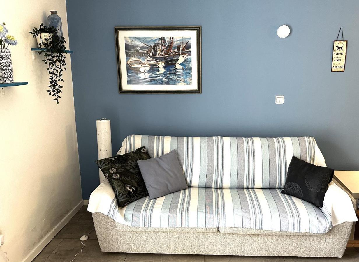 Stella Deluxe Superior 5 Star Apartment, Your Piece Of Heaven By The Sea & Park, With Sea View Novigrad  Zewnętrze zdjęcie